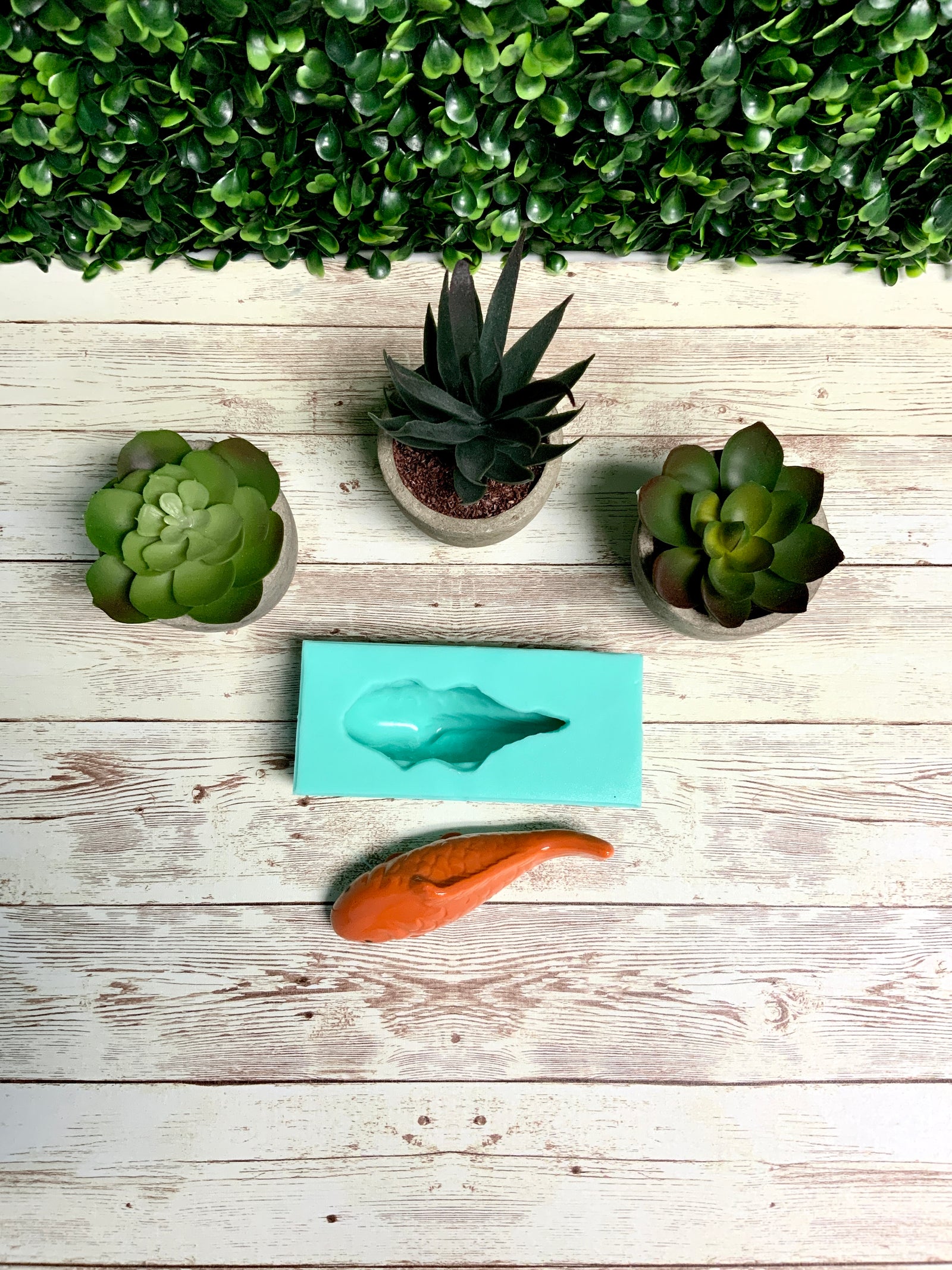 Fish Silicone Mold, Fish Mold for Resin