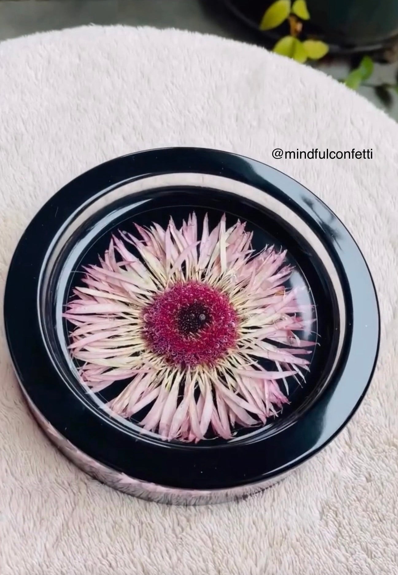Deep Round Tray Mold