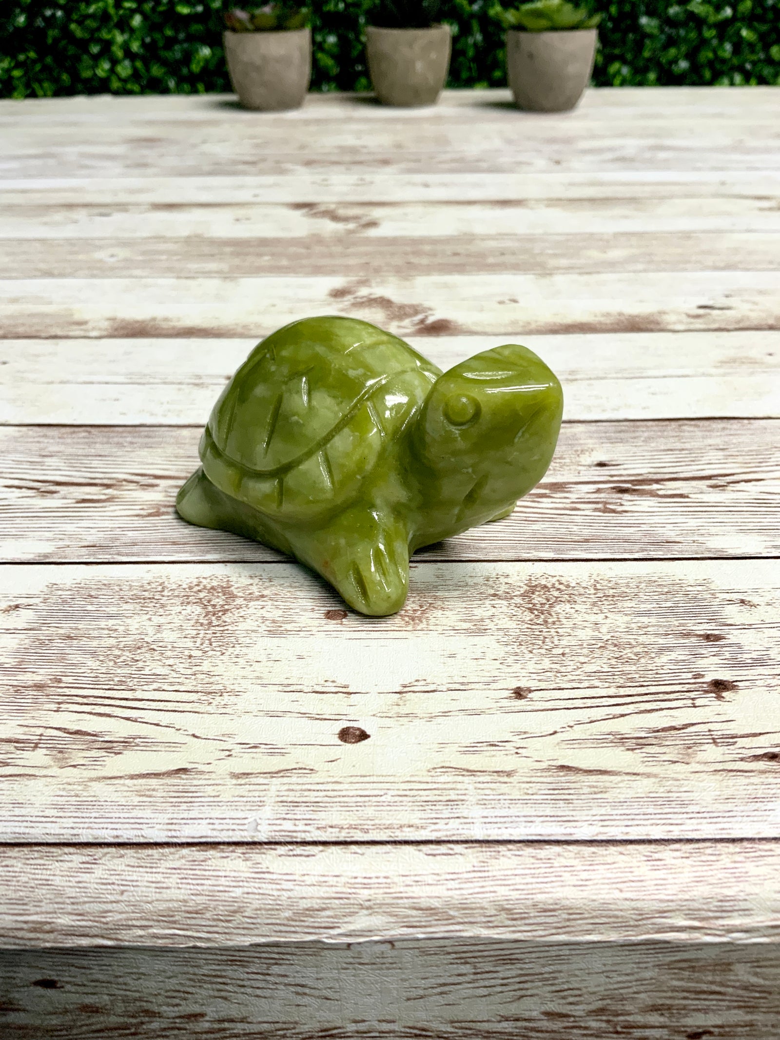 Turtle Mold, Sea Turtle Mold