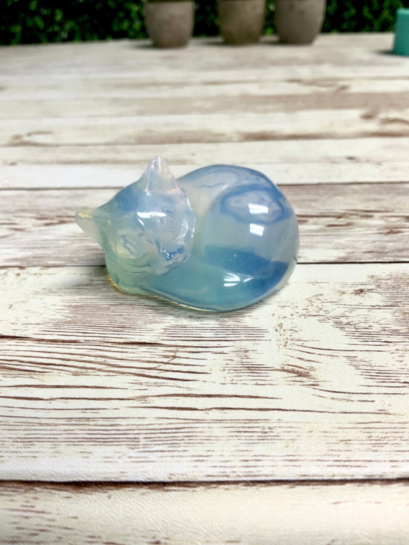Cat Mold | 3 Styles | 3D Cat Mold
