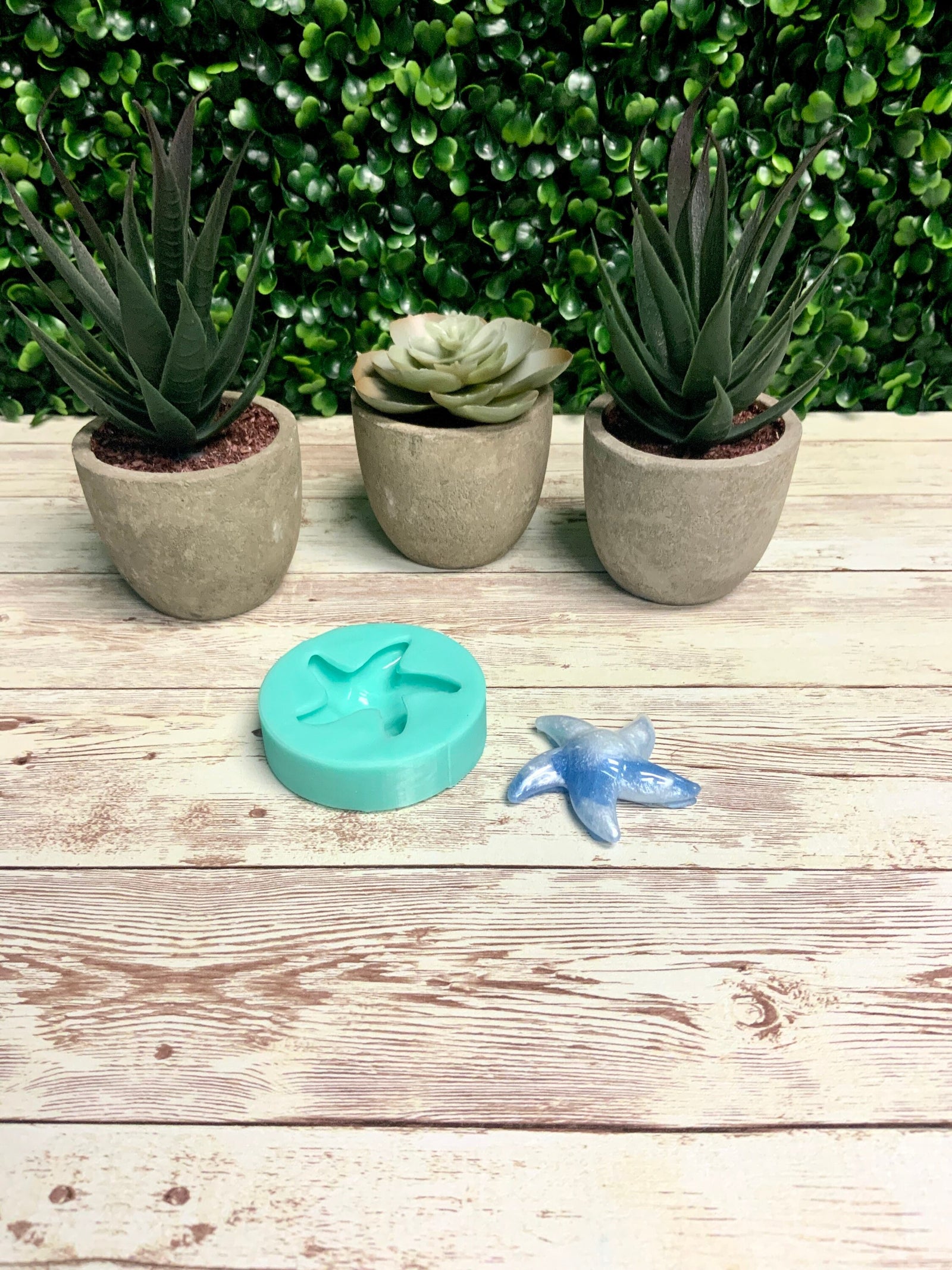 Starfish Mold