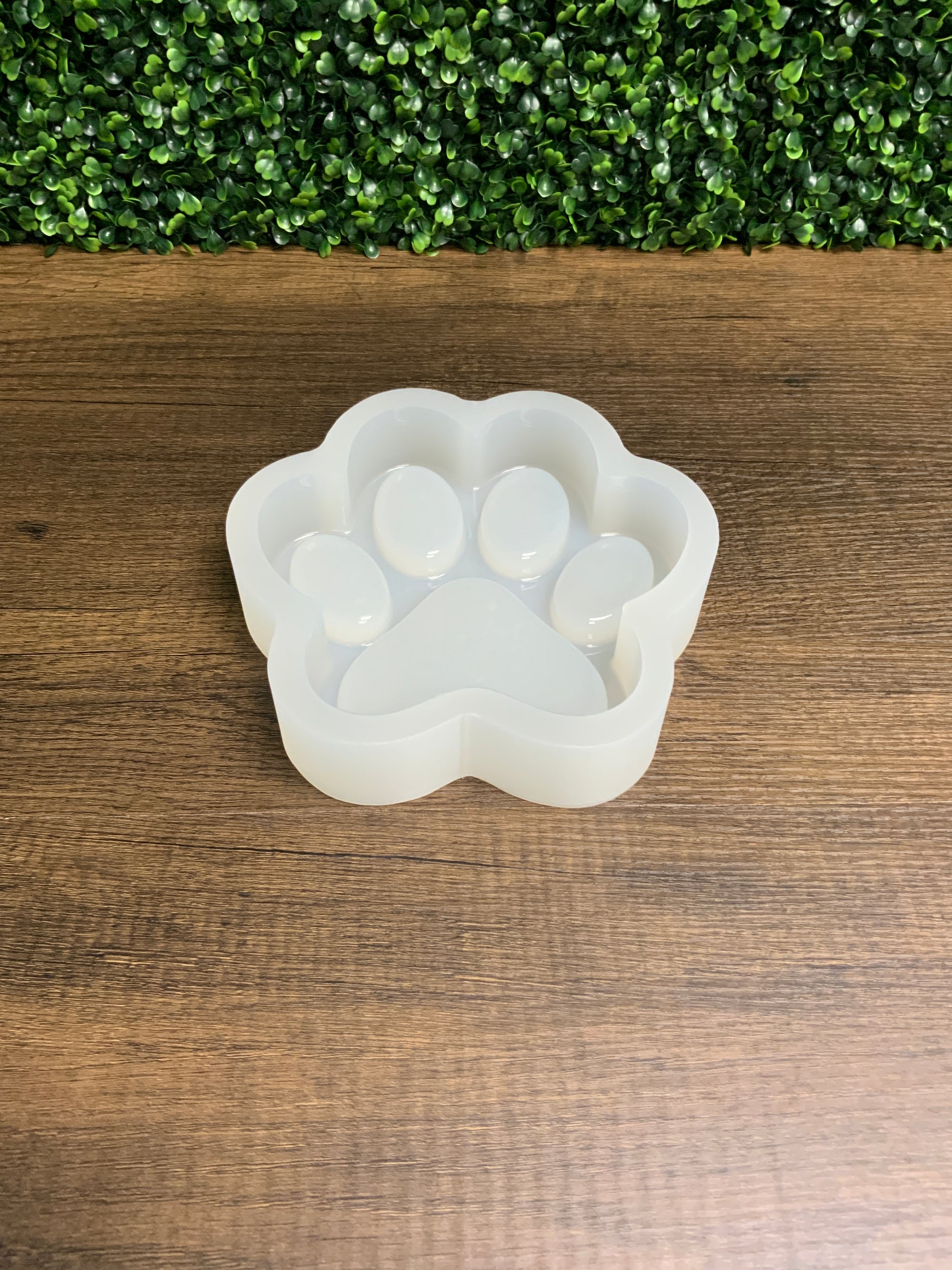 Deep Paw Print Tray Mold