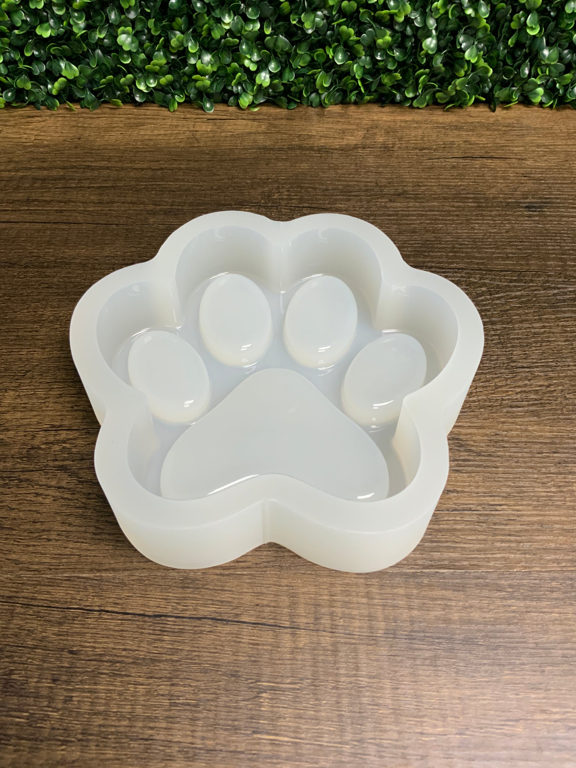 Deep Paw Print Tray Mold