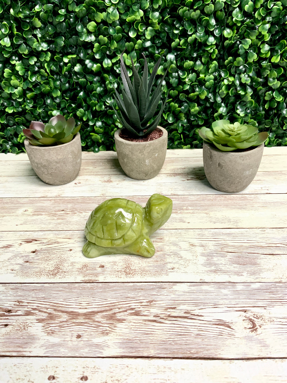 Turtle Mold, Sea Turtle Mold