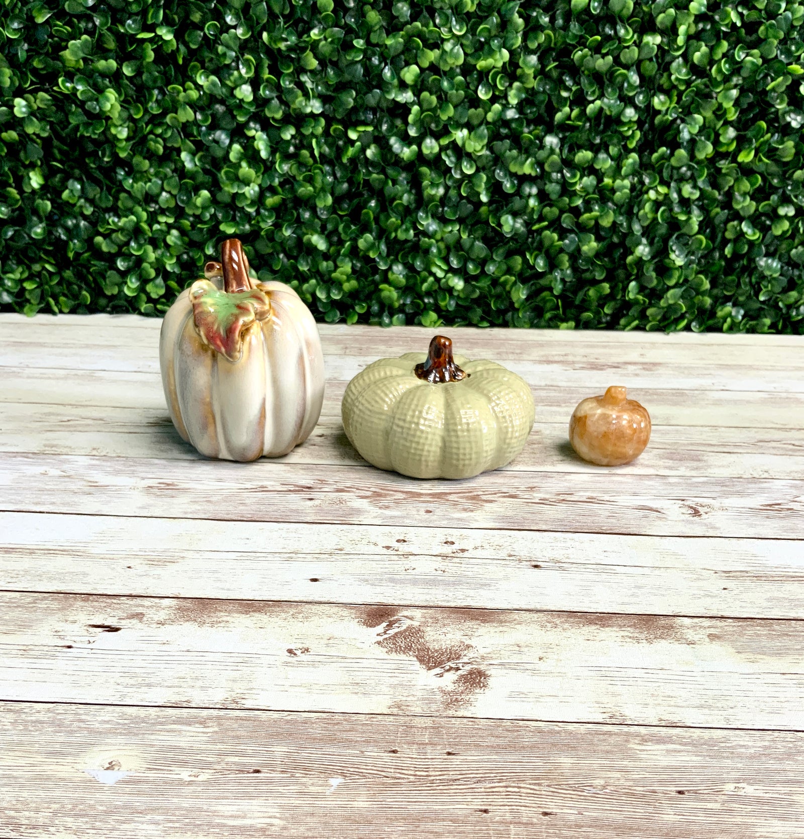 Pumpkin Molds |5 Shapes | Halloween Molds