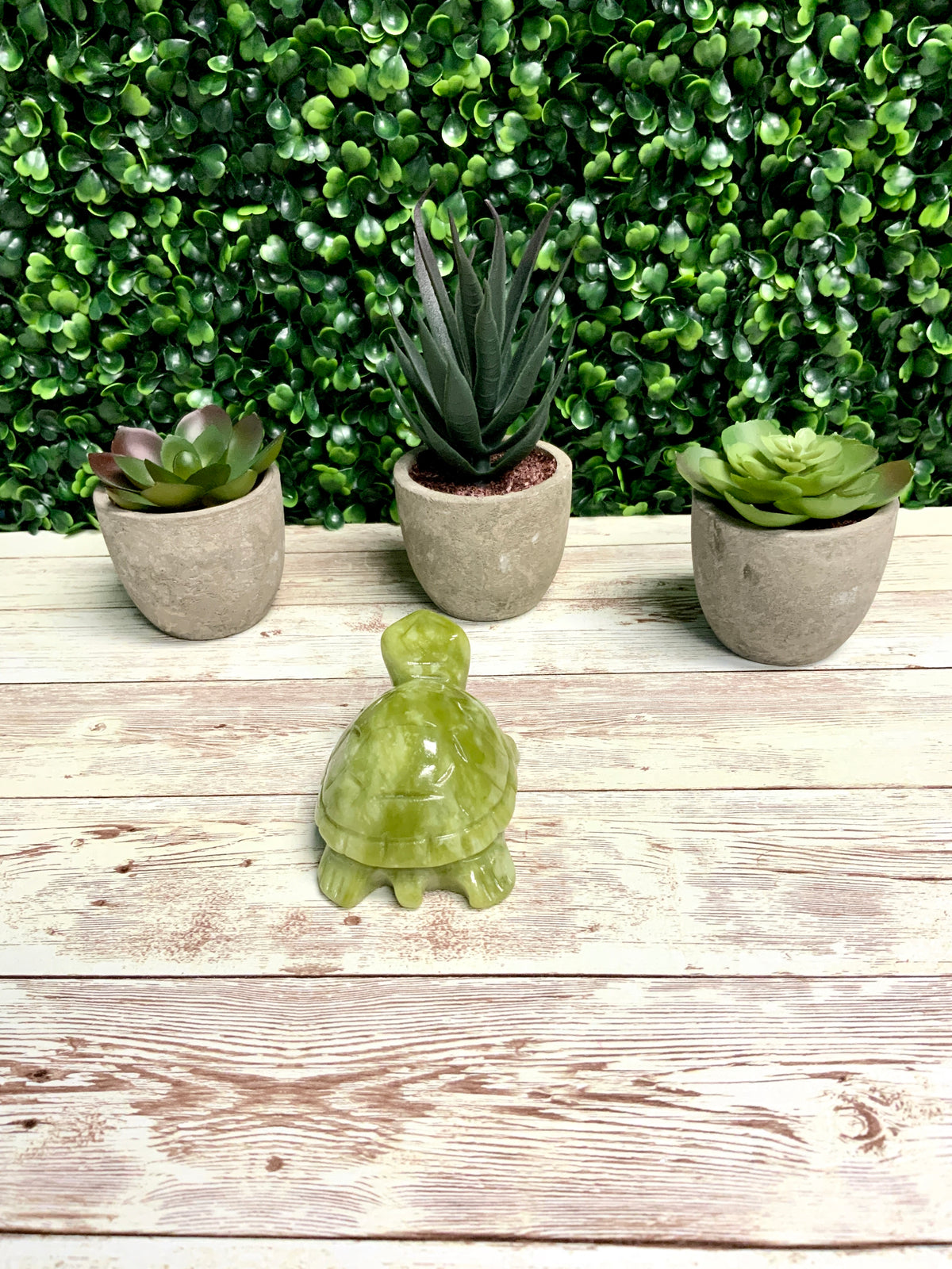 Turtle Mold, Sea Turtle Mold