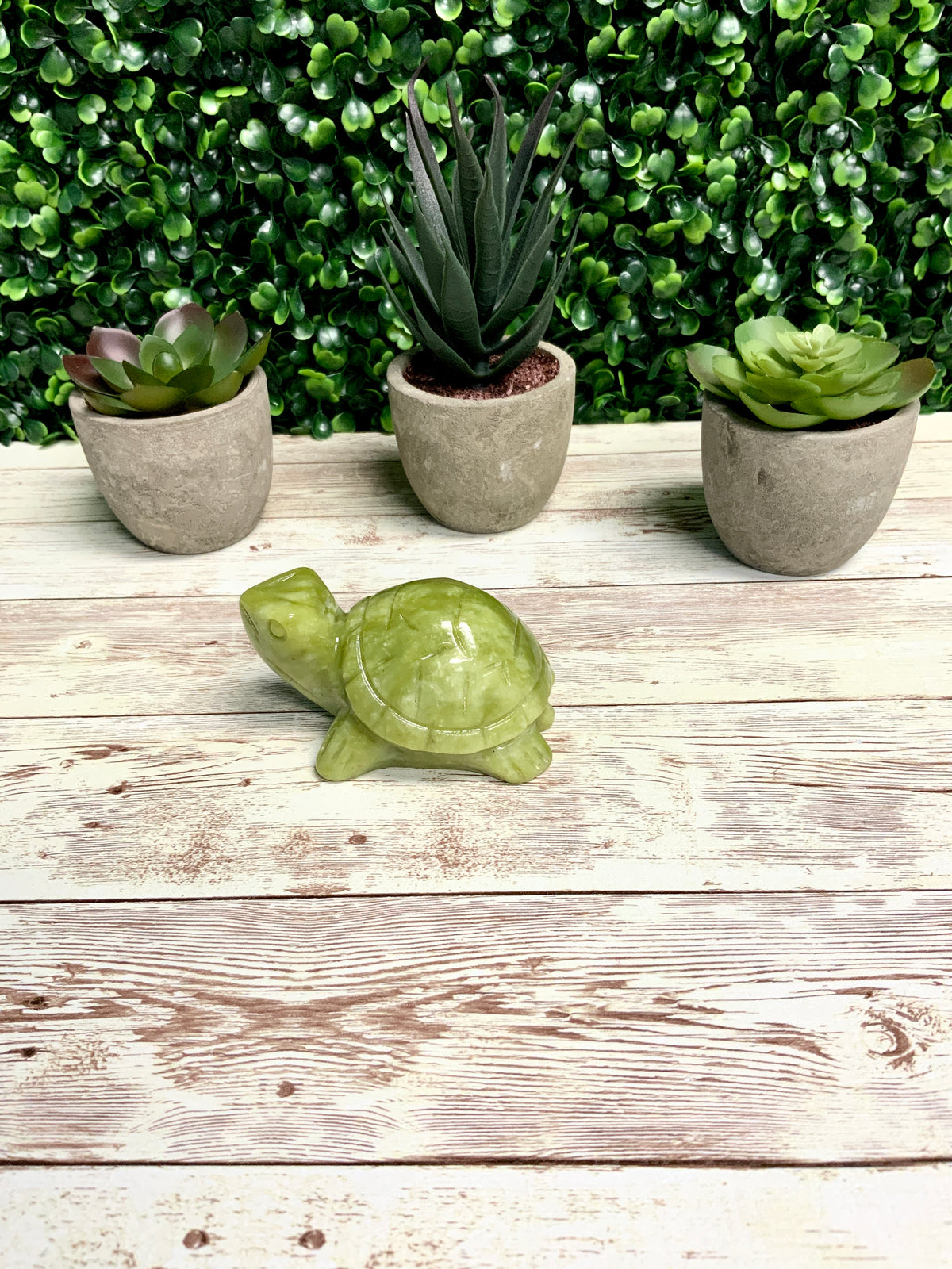 Turtle Mold, Sea Turtle Mold