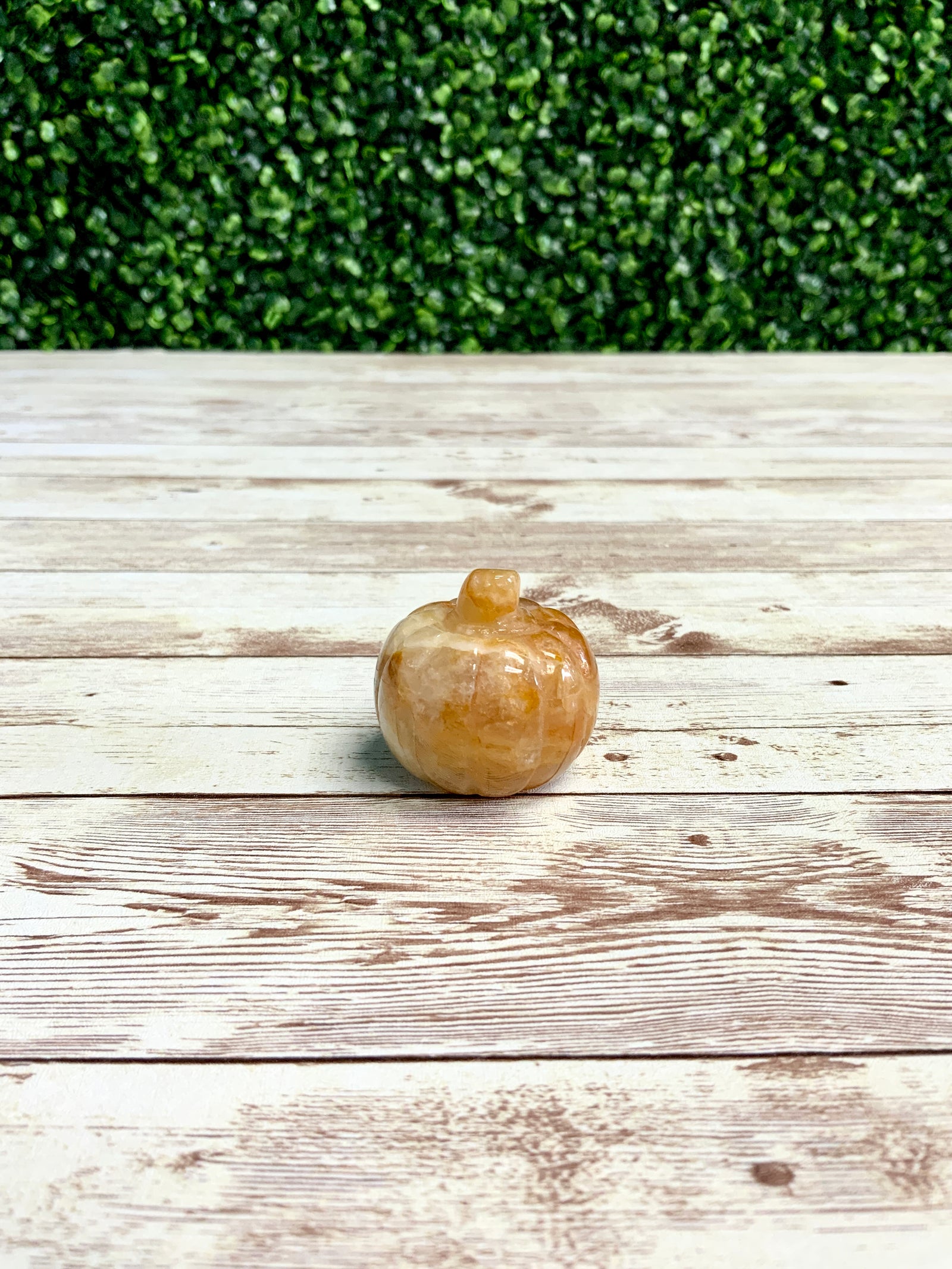 Pumpkin Molds |5 Shapes | Halloween Molds