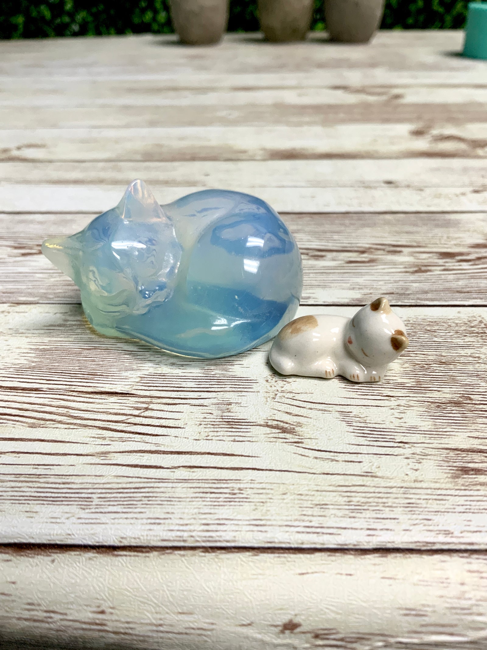 Cat Mold | 3 Styles | 3D Cat Mold