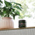 Kappa Green Pigment Paste / 2 oz. / RAL 6035