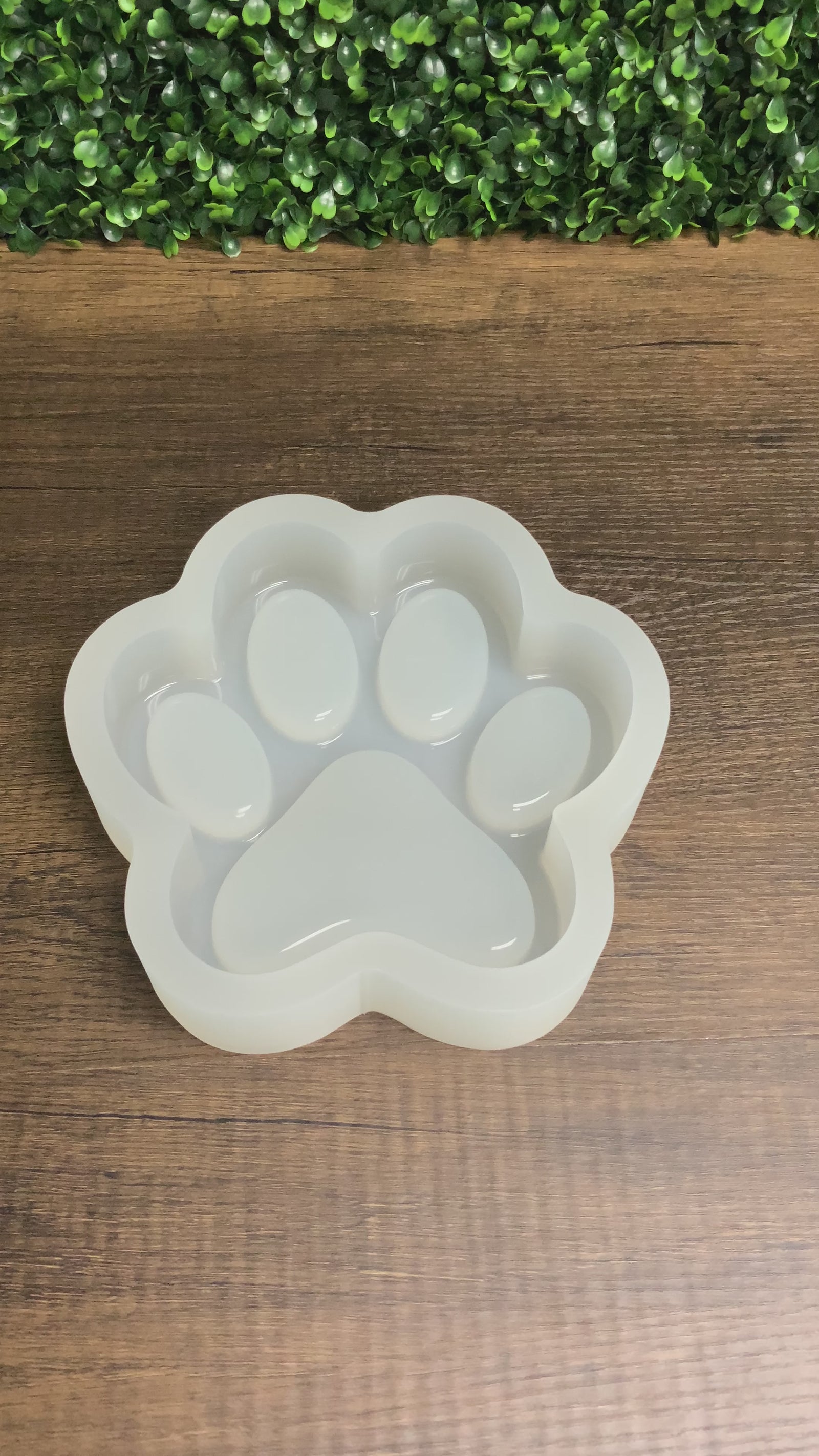 Deep Paw Print Tray Mold | 7" x 7" |