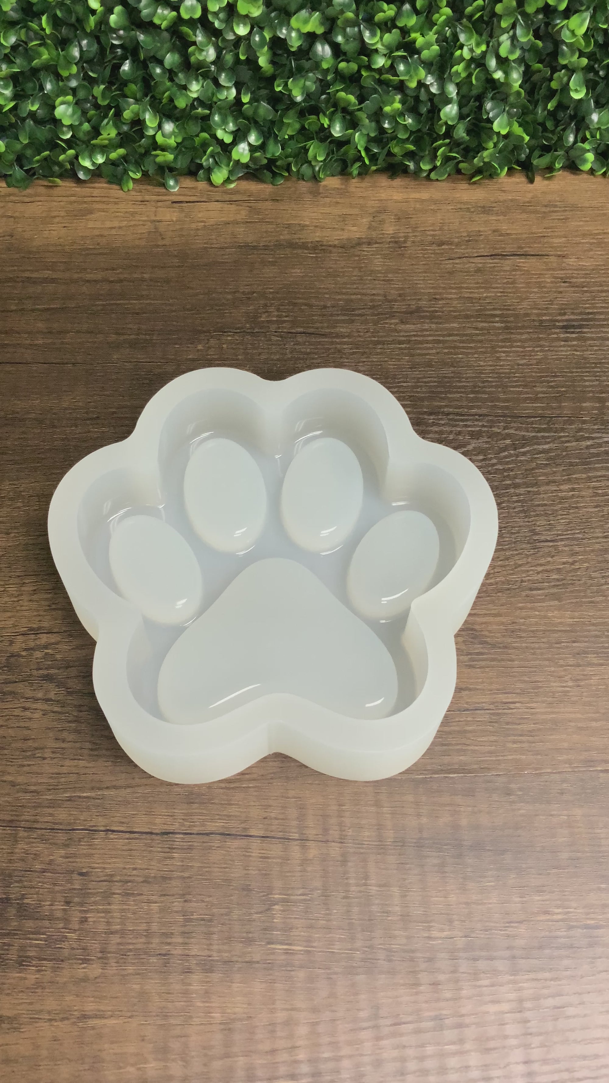 Deep Paw Print Tray Mold