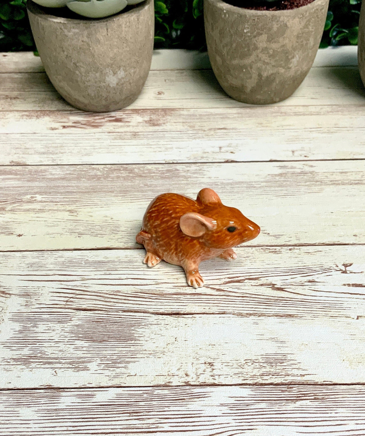 Mouse Mold, 3D Resin Mold