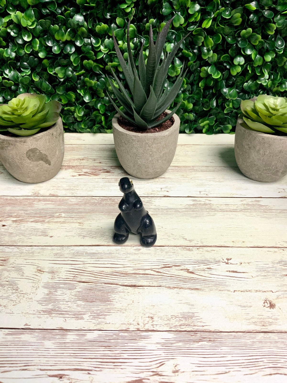 Dinosaur Silicone Mold