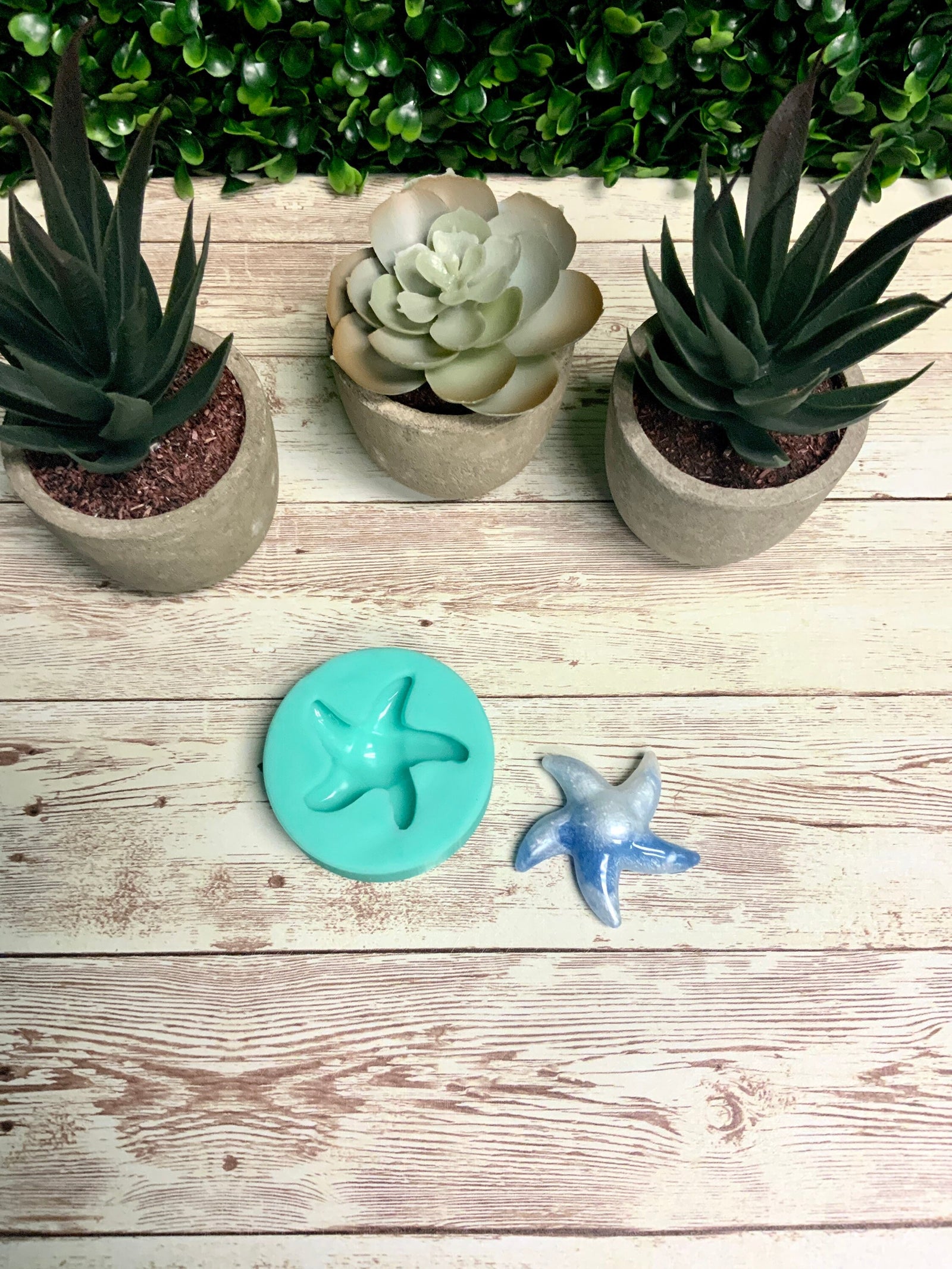 Starfish Mold