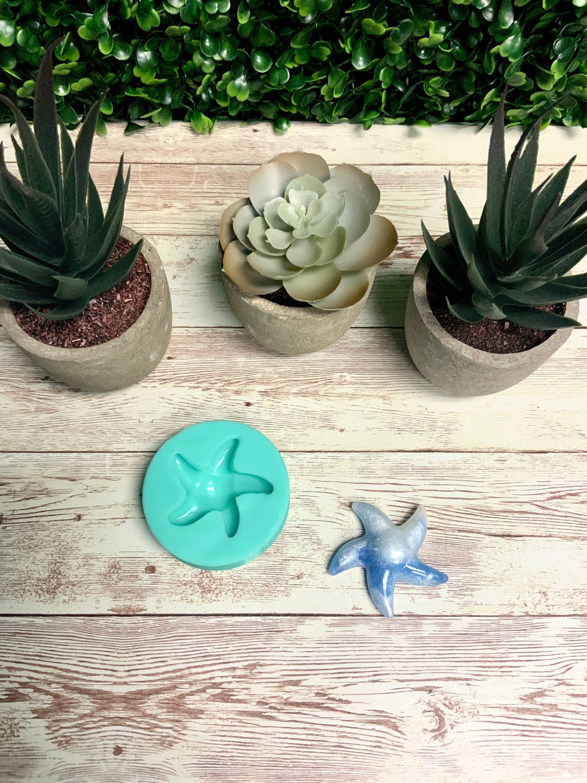 Starfish Mold