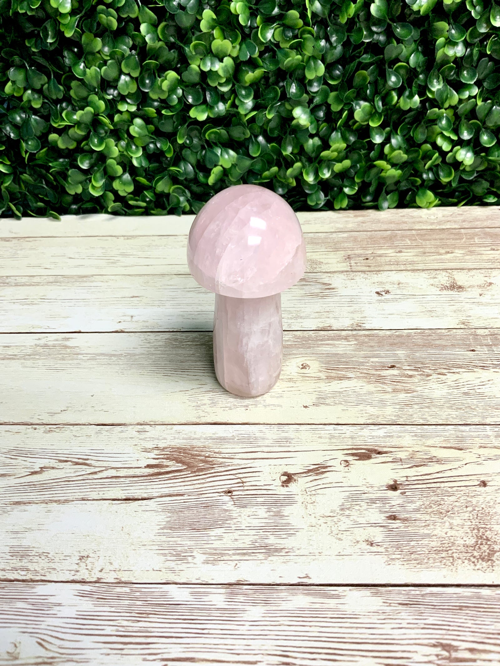 Mushroom Molds for Resin | 4 Sizes | 3D Mushroom Mold