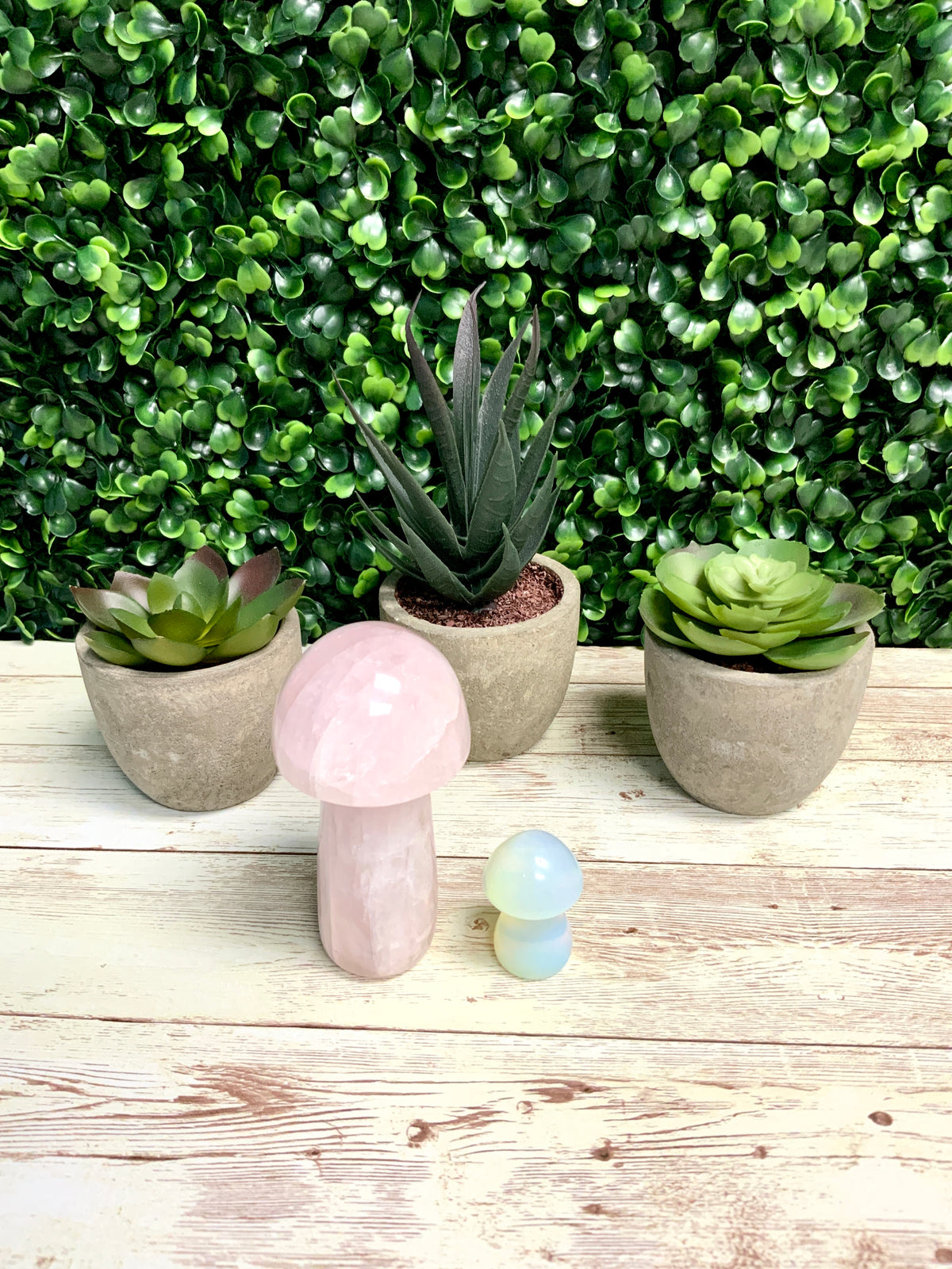 Mushroom Molds for Resin | 4 Sizes | 3D Mushroom Mold