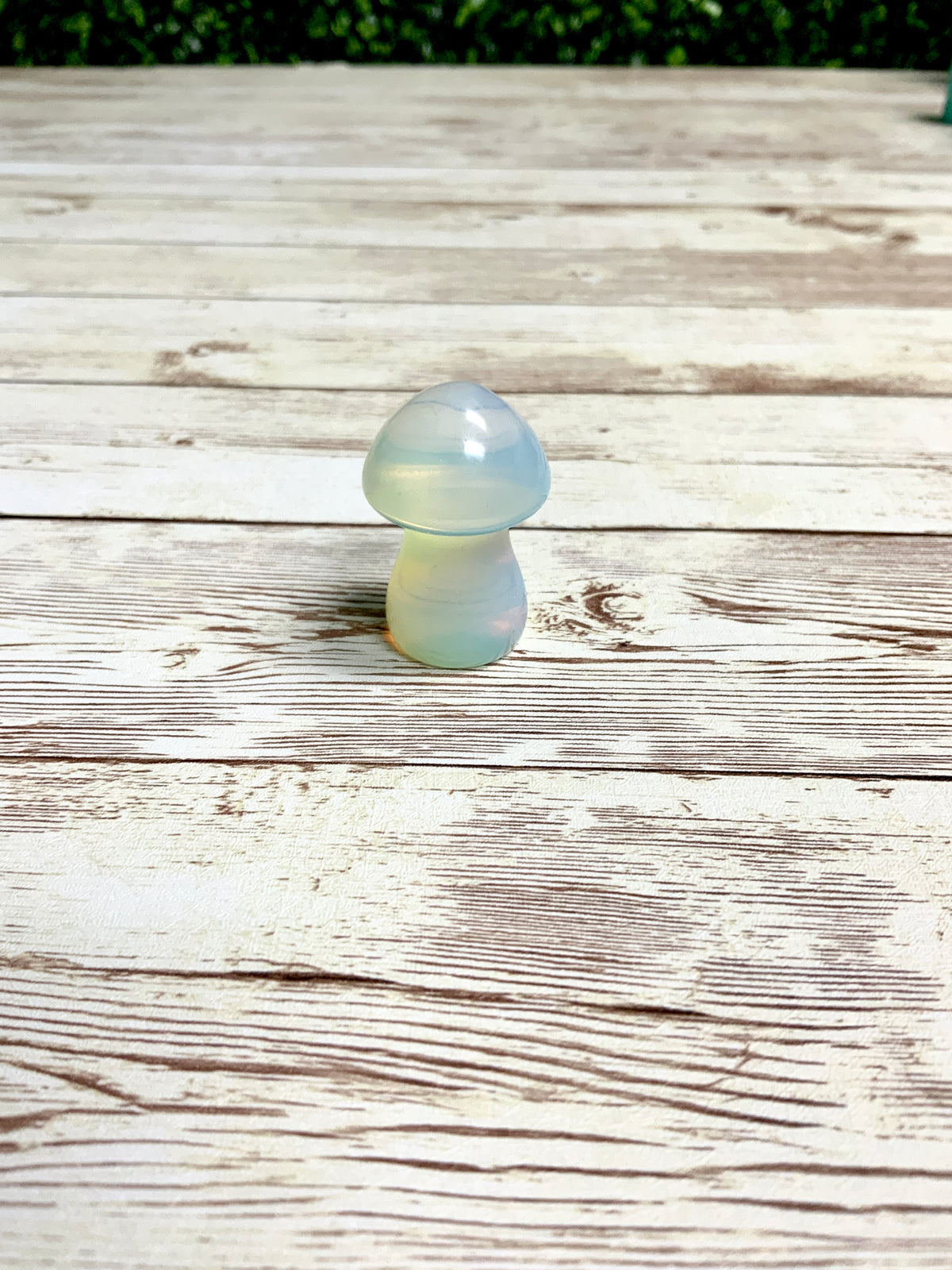 Mushroom Molds for Resin | 4 Sizes | 3D Mushroom Mold